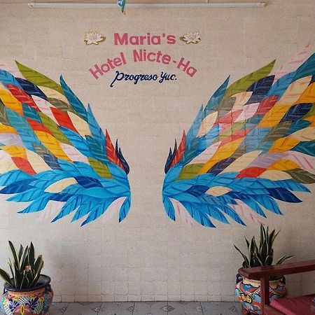 Hotel Maria'S Nicte Ha Progreso  Eksteriør billede