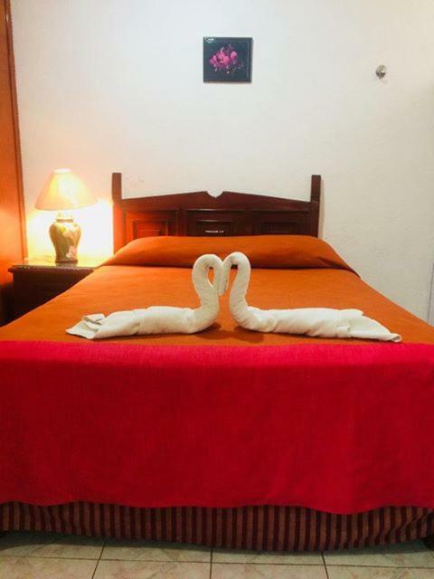 Hotel Maria'S Nicte Ha Progreso  Eksteriør billede